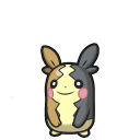 Morpeko